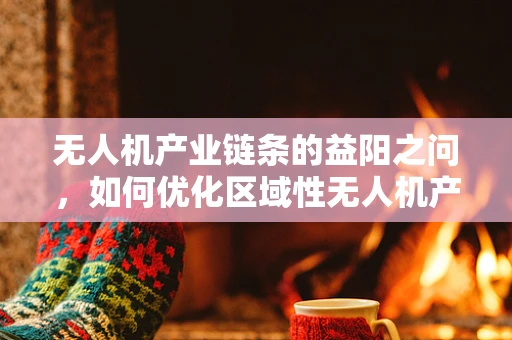 无人机产业链条的益阳之问，如何优化区域性无人机产业集群？