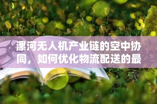 漯河无人机产业链的空中协同，如何优化物流配送的最后一公里？