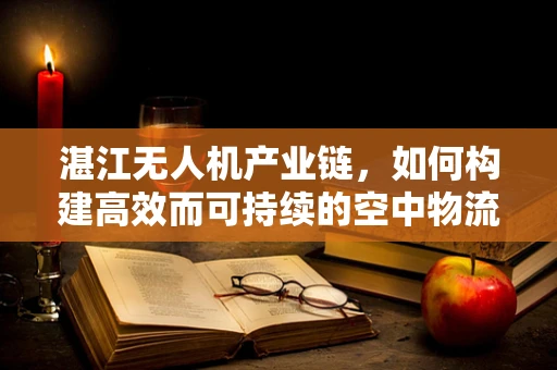 湛江无人机产业链，如何构建高效而可持续的空中物流网络？