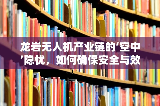 龙岩无人机产业链的‘空中’隐忧，如何确保安全与效率的双重提升？