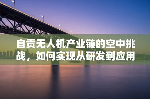自贡无人机产业链的空中挑战，如何实现从研发到应用的无缝对接？