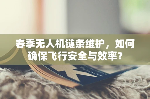 春季无人机链条维护，如何确保飞行安全与效率？
