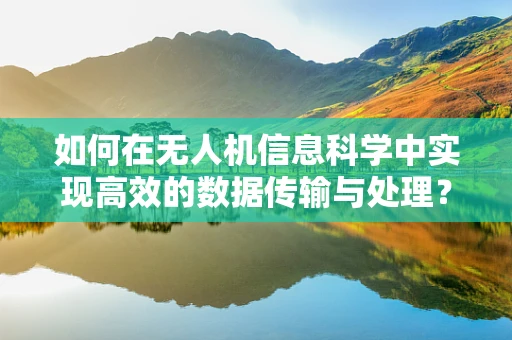 如何在无人机信息科学中实现高效的数据传输与处理？