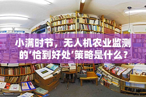 小满时节，无人机农业监测的‘恰到好处’策略是什么？