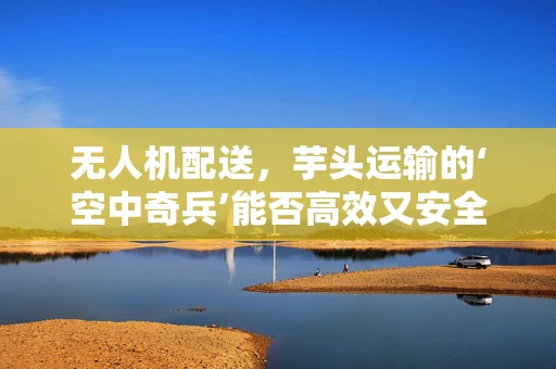 无人机配送，芋头运输的‘空中奇兵’能否高效又安全？