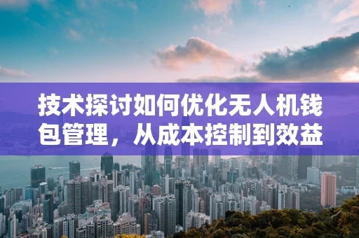 技术探讨如何优化无人机钱包管理，从成本控制到效益提升？