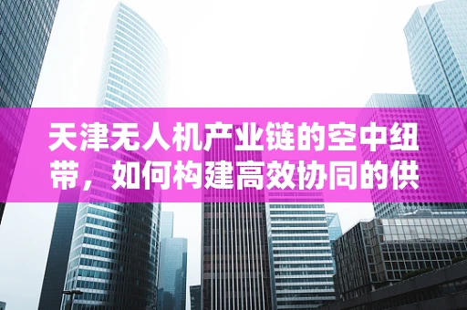 天津无人机产业链的空中纽带，如何构建高效协同的供应链体系？