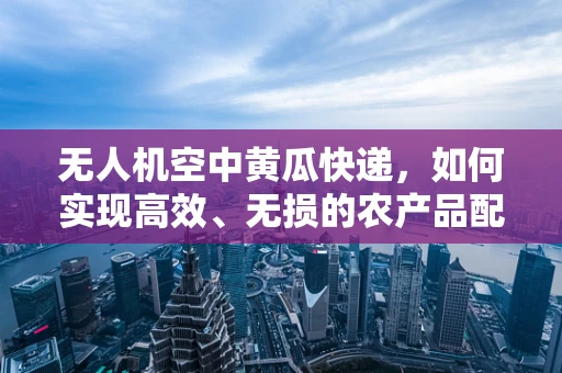 无人机空中黄瓜快递，如何实现高效、无损的农产品配送？