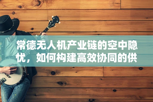 常德无人机产业链的空中隐忧，如何构建高效协同的供应链？