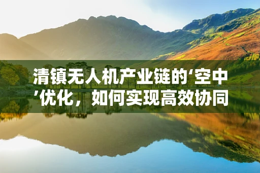 清镇无人机产业链的‘空中’优化，如何实现高效协同与技术创新？