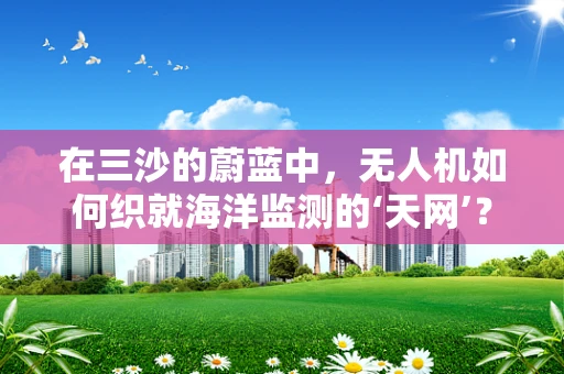 在三沙的蔚蓝中，无人机如何织就海洋监测的‘天网’？