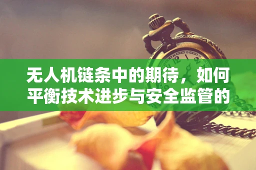 无人机链条中的期待，如何平衡技术进步与安全监管的未来？