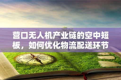 营口无人机产业链的空中短板，如何优化物流配送环节？