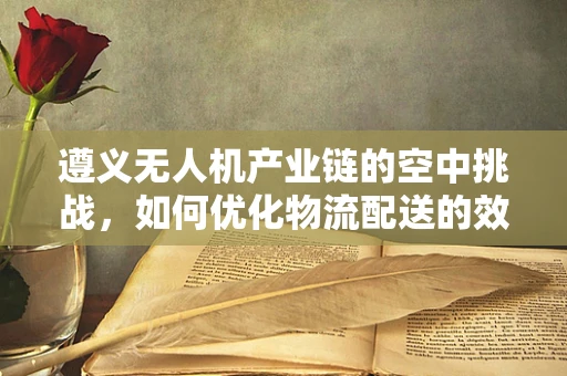 遵义无人机产业链的空中挑战，如何优化物流配送的效率与成本？