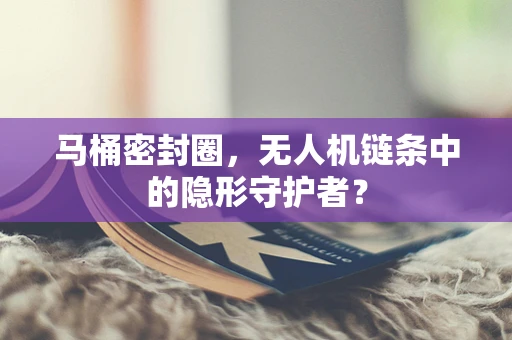 马桶密封圈，无人机链条中的隐形守护者？