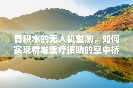 肾积水的无人机监测，如何实现精准医疗援助的空中桥梁？