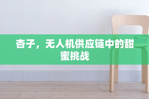 杏子，无人机供应链中的甜蜜挑战