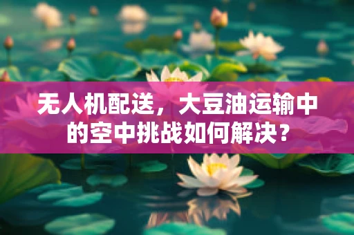 无人机配送，大豆油运输中的空中挑战如何解决？