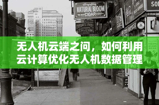 无人机云端之问，如何利用云计算优化无人机数据管理与分析？