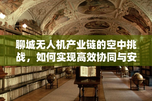 聊城无人机产业链的空中挑战，如何实现高效协同与安全监管？