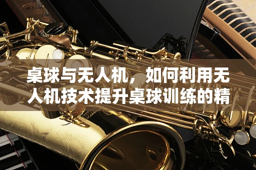 桌球与无人机，如何利用无人机技术提升桌球训练的精准度？