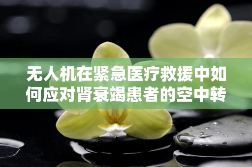 无人机在紧急医疗救援中如何应对肾衰竭患者的空中转运挑战？