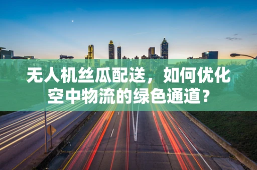 无人机丝瓜配送，如何优化空中物流的绿色通道？