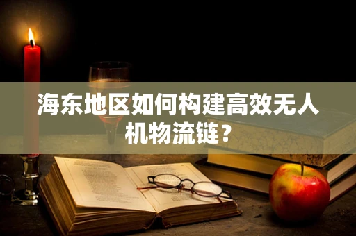 海东地区如何构建高效无人机物流链？