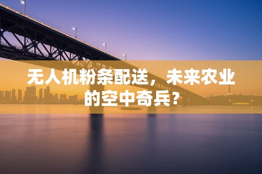 无人机粉条配送，未来农业的空中奇兵？