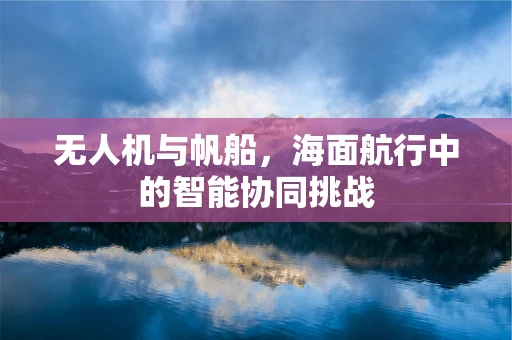 无人机与帆船，海面航行中的智能协同挑战