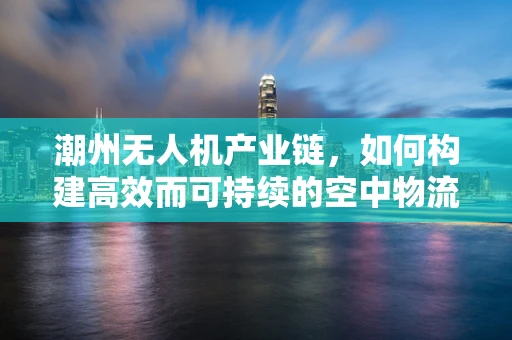潮州无人机产业链，如何构建高效而可持续的空中物流网络？