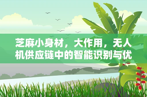芝麻小身材，大作用，无人机供应链中的智能识别与优化挑战