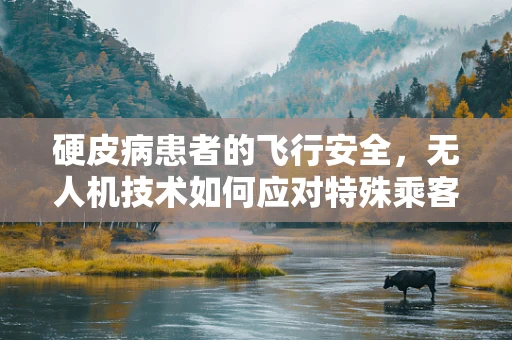 硬皮病患者的飞行安全，无人机技术如何应对特殊乘客的挑战？