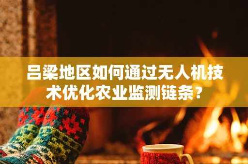 吕梁地区如何通过无人机技术优化农业监测链条？