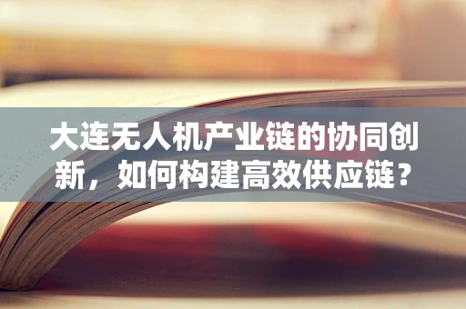 大连无人机产业链的协同创新，如何构建高效供应链？