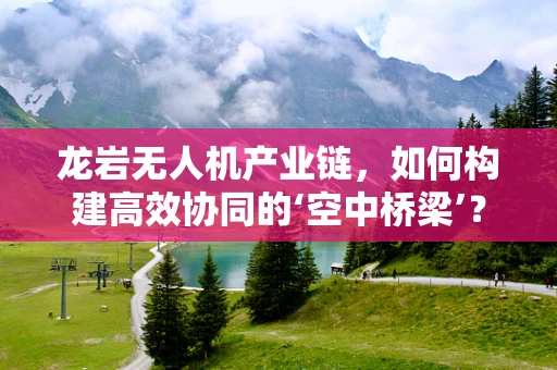 龙岩无人机产业链，如何构建高效协同的‘空中桥梁’？