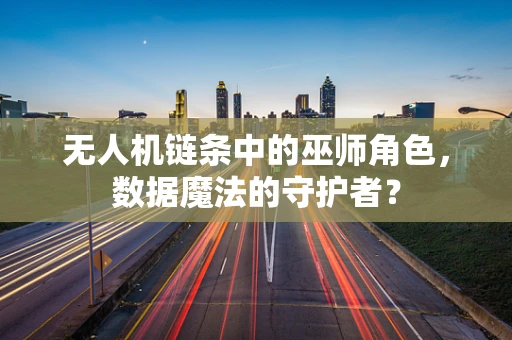 无人机链条中的巫师角色，数据魔法的守护者？