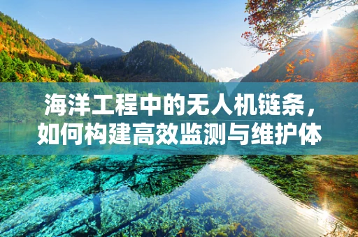 海洋工程中的无人机链条，如何构建高效监测与维护体系？