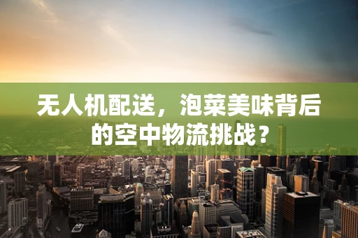 无人机配送，泡菜美味背后的空中物流挑战？