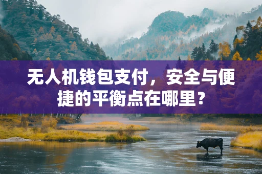 无人机钱包支付，安全与便捷的平衡点在哪里？