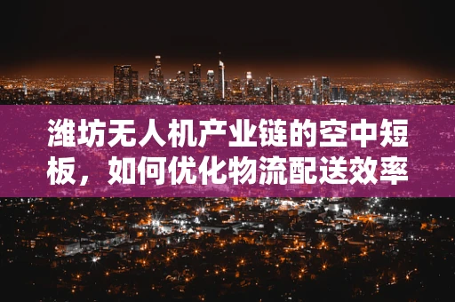 潍坊无人机产业链的空中短板，如何优化物流配送效率？