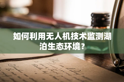 如何利用无人机技术监测湖泊生态环境？