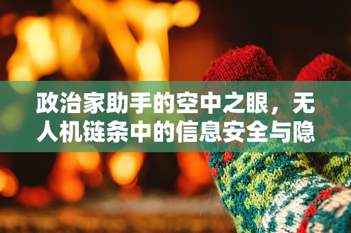 政治家助手的空中之眼，无人机链条中的信息安全与隐私保护