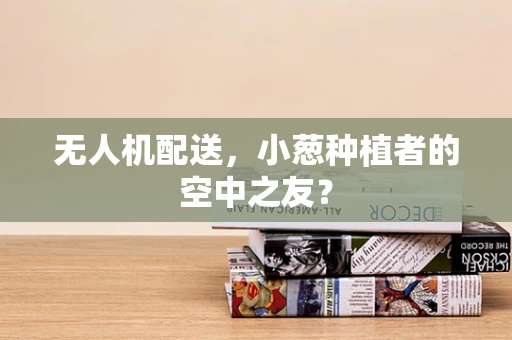 无人机配送，小葱种植者的空中之友？