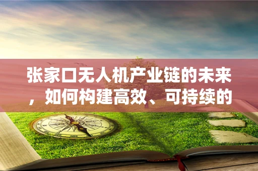 张家口无人机产业链的未来，如何构建高效、可持续的无人机生态系统？