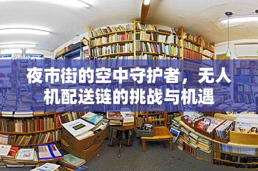 夜市街的空中守护者，无人机配送链的挑战与机遇