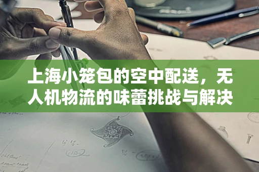上海小笼包的空中配送，无人机物流的味蕾挑战与解决方案