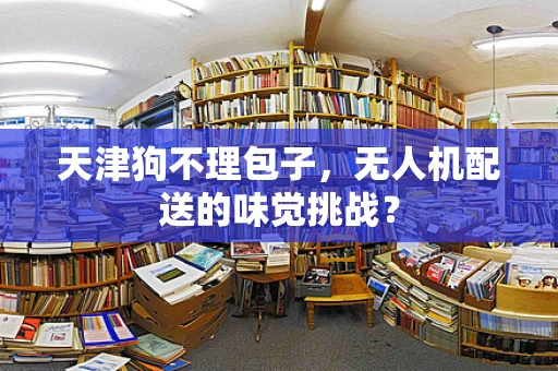 天津狗不理包子，无人机配送的味觉挑战？