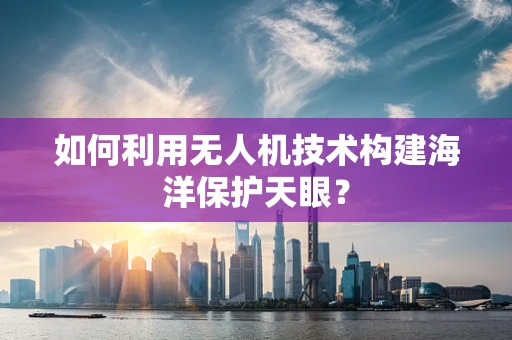 如何利用无人机技术构建海洋保护天眼？