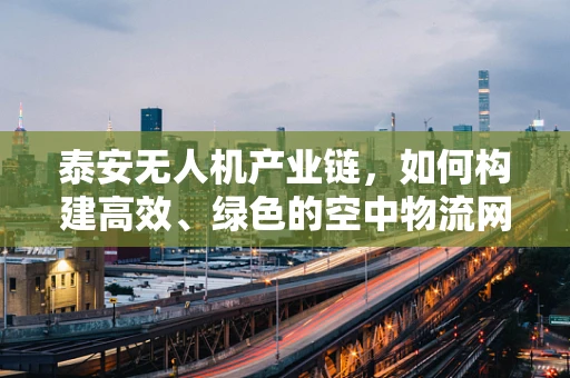 泰安无人机产业链，如何构建高效、绿色的空中物流网络？